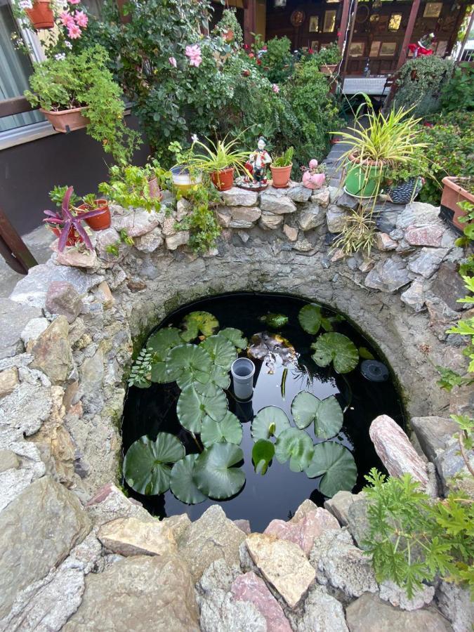 Casa Donau Delta 호텔 술리나 외부 사진