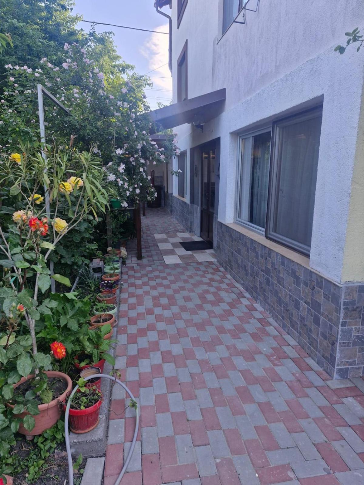 Casa Donau Delta 호텔 술리나 외부 사진